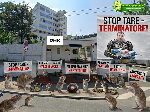 Glodari protestvuju pred OHR-om!