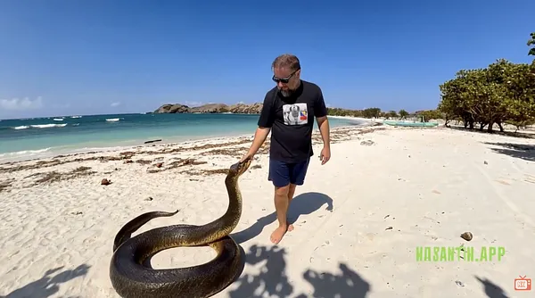  Zire i Kobra na plaži!