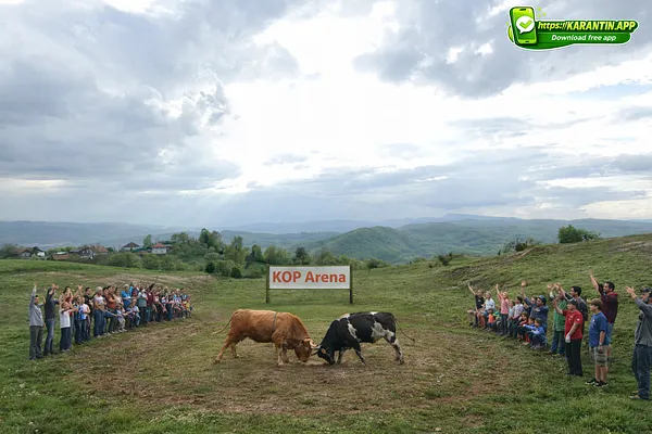 KOP Arena - Vijesolići,  pripreme za svjetsko prvenstvo u Barceloni!