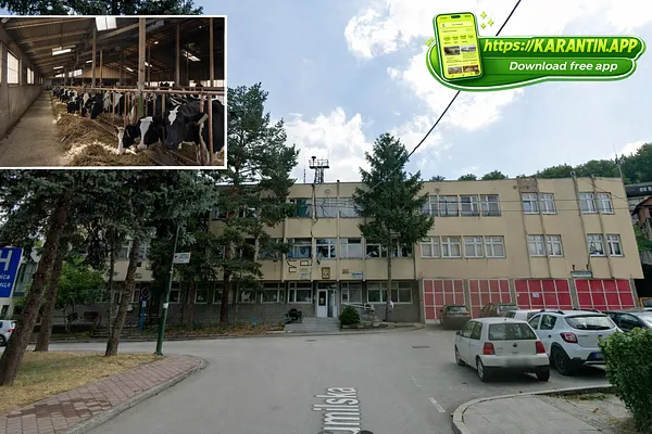 Farmer iz Sovrla, Ilijaš prijavio 7 krava na Biro!