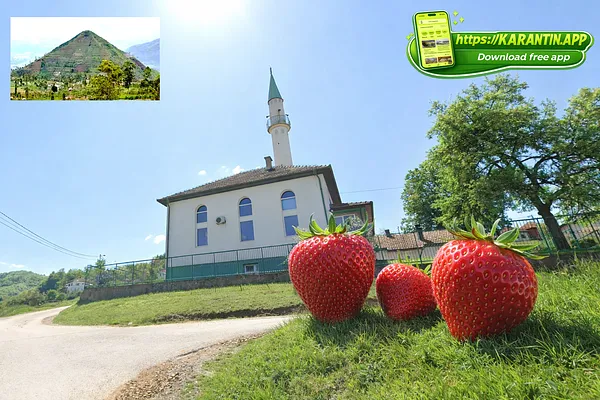 U Srhinju, Visoko rastu jagode od pola kile!